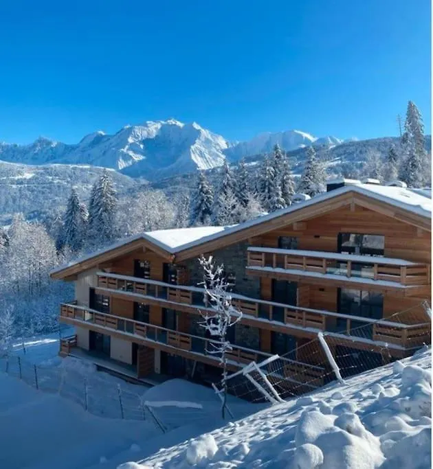 Appartement Ludotheque Familial Neuf A Combloux