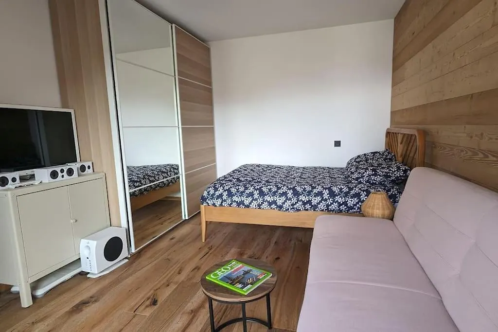 Apartment Appartement Ludotheque Familial Neuf A Combloux France